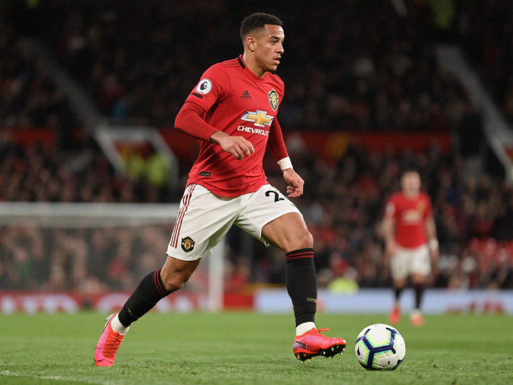 体育已经成 体育已经成