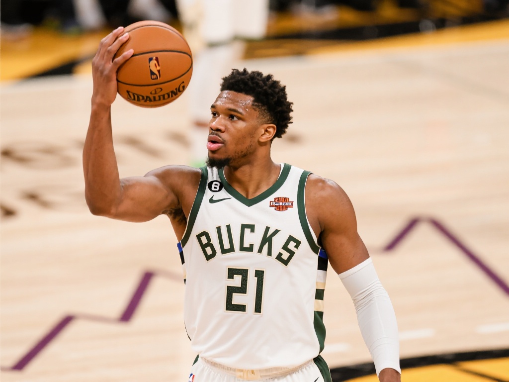 立完善的安 立完善的安